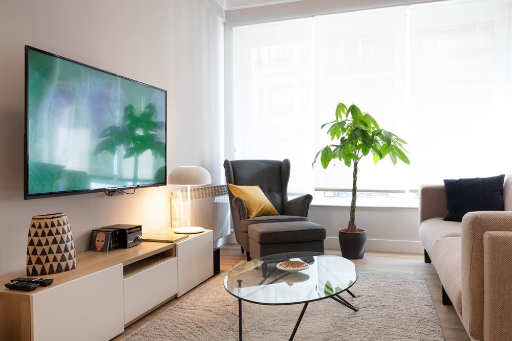 Furnished luxury apartment in Bilbao - Living room