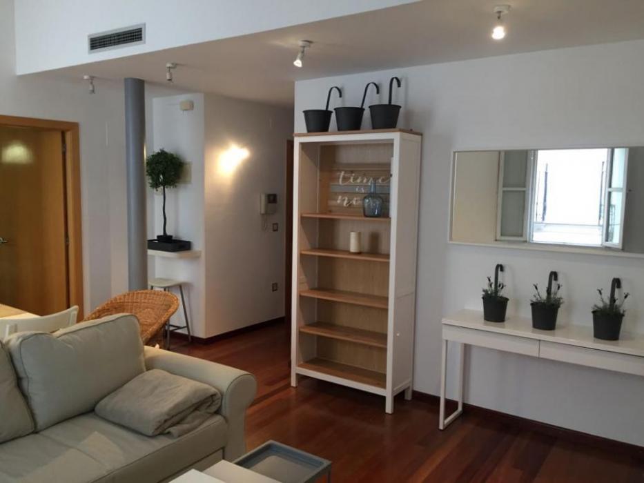 Fantastic expat rental in Valencia centre - living room
