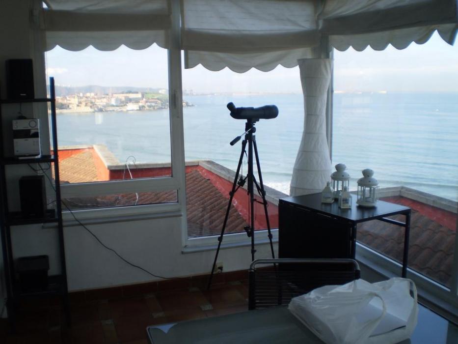 Amazing beach apartment in Gijon - Window