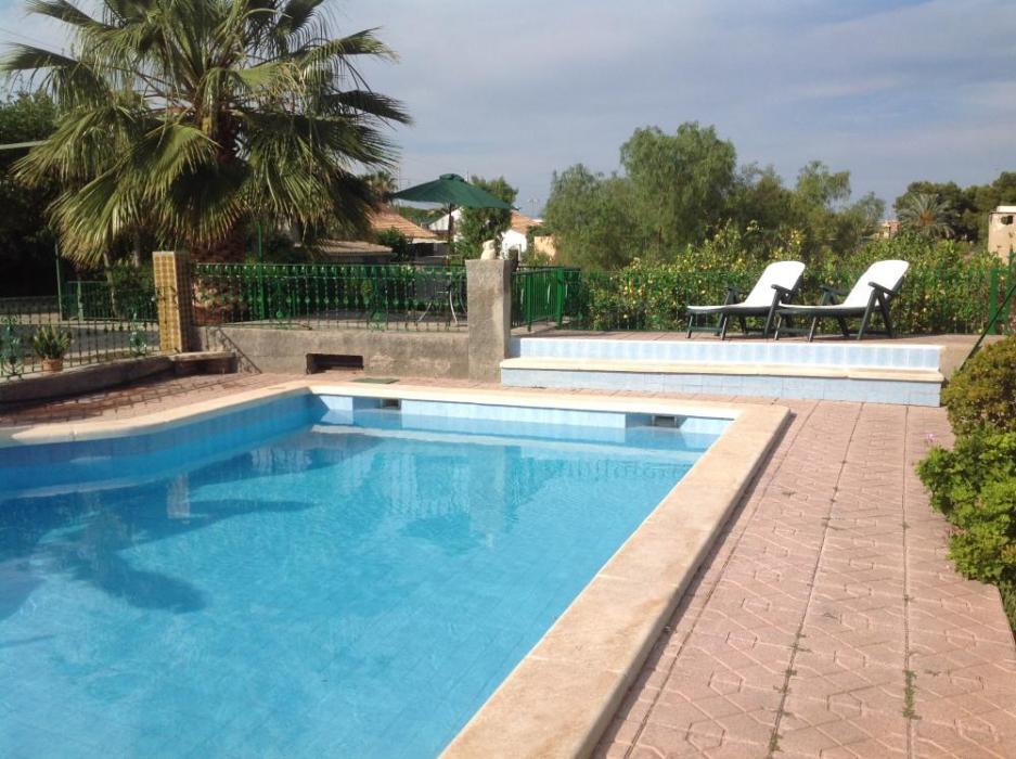 House for rent in Elche with pool - Pool