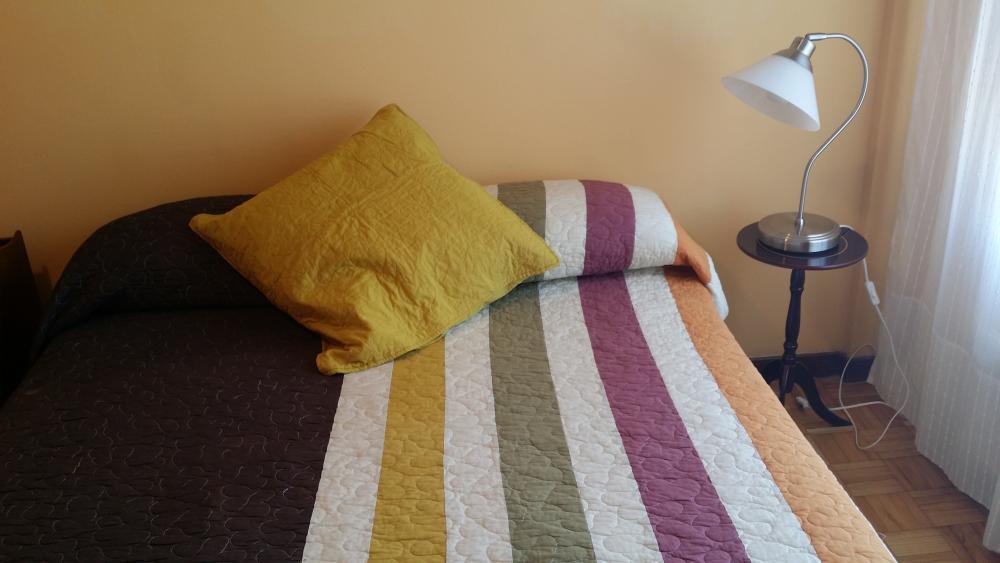 Apartment for expats in Oviedo - Master bedroom