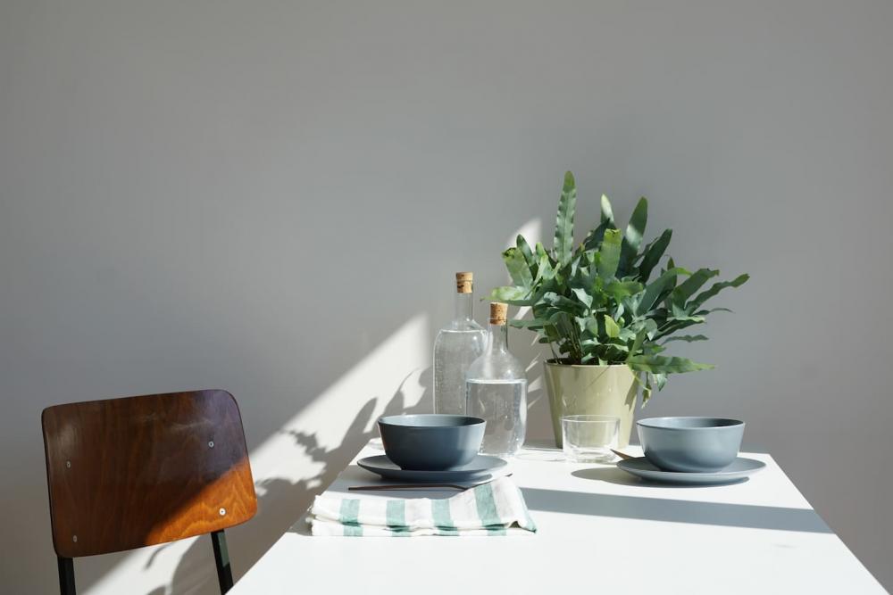 Beautiful studio for rent in Antwerp - Flowers