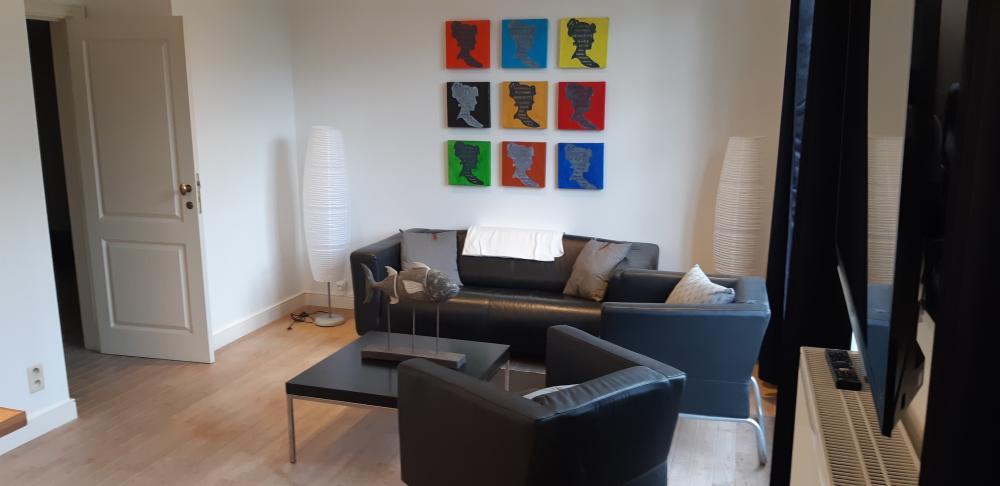 Convenient expat flat in north Antwerp - Living room