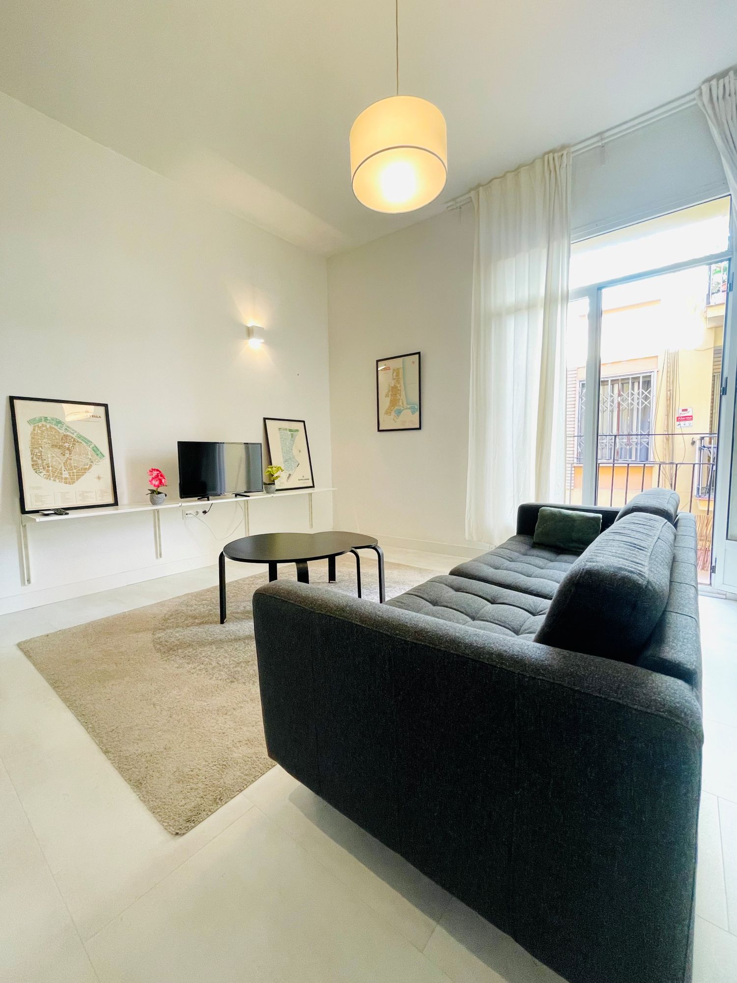 1 livingroom couch.jpg