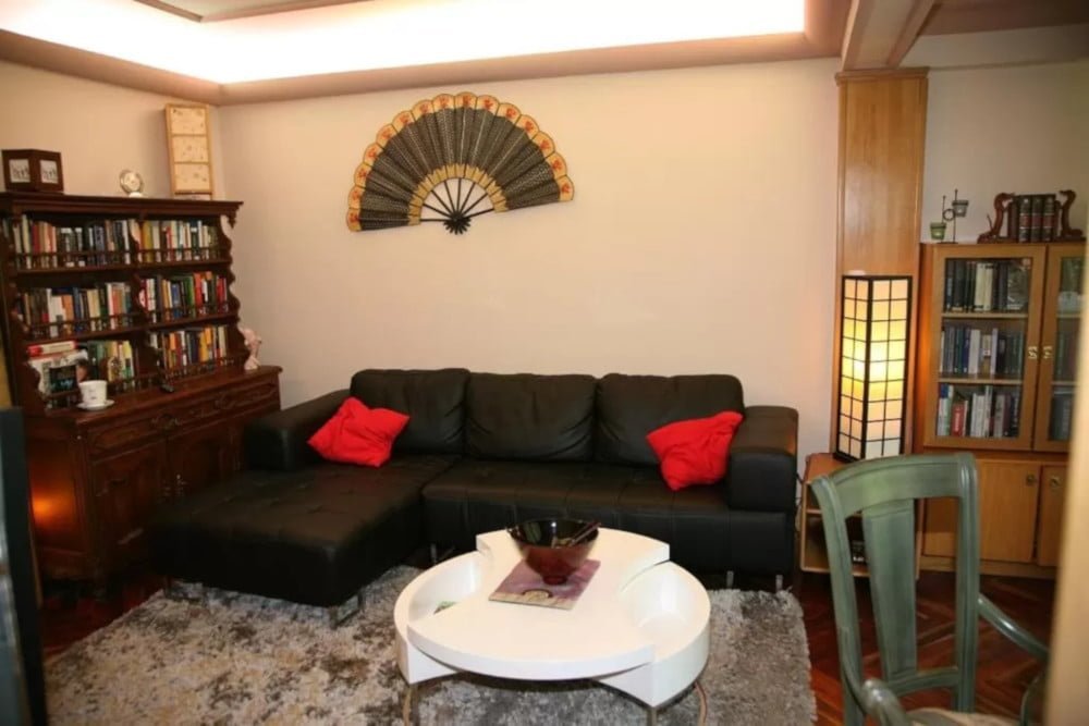 Furnished expat flat in Basque Country - Living room