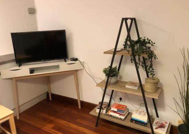 Old town 5 - Nice expat rental in Bilbao old centre - TV