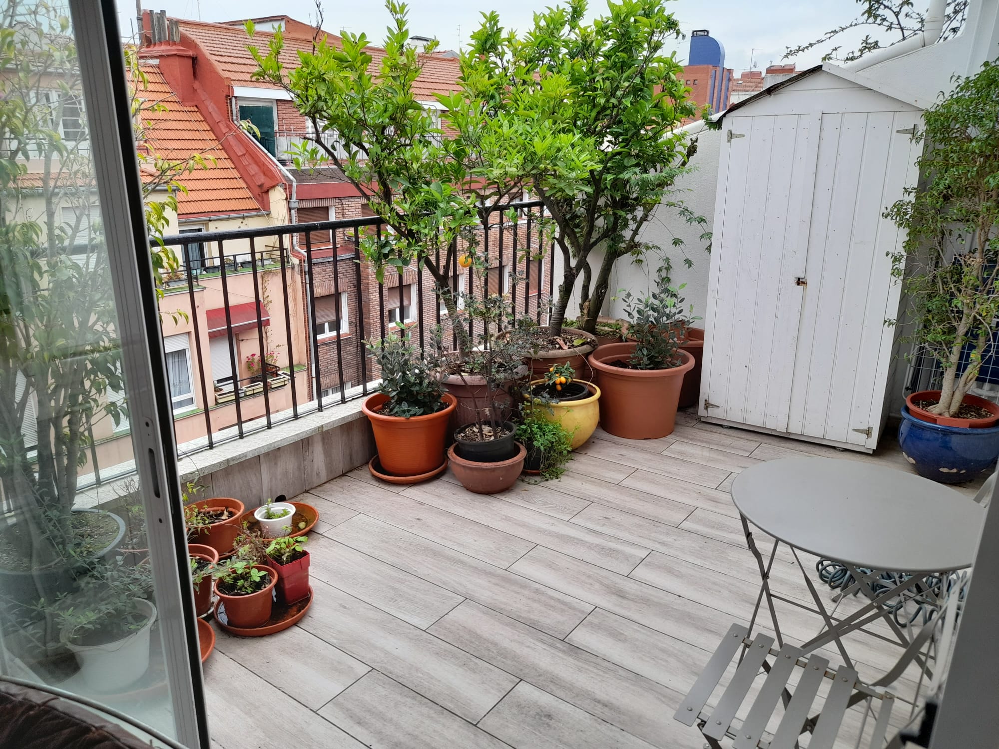 General Eguia - Apartment for expats in Bilbao with terrace - Terrace
