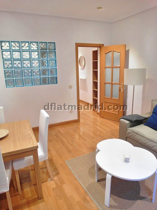 Comfortable apartment in Madrid for expats - Door