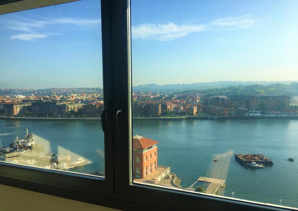 Sestao - Expat loft near Bilbao - View