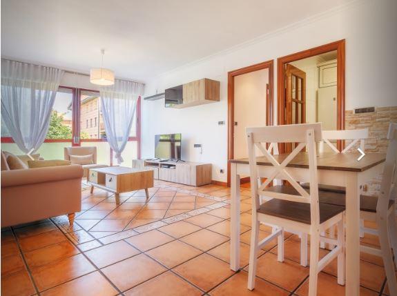 Sopelana - Expat rental in Basque Country - Living room