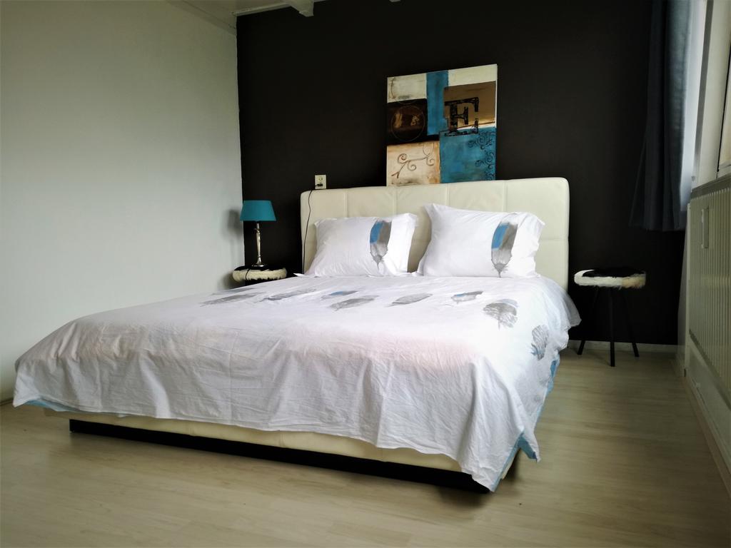 Hidden center - 2-bedroom flat with garden in Rotterdam (2)