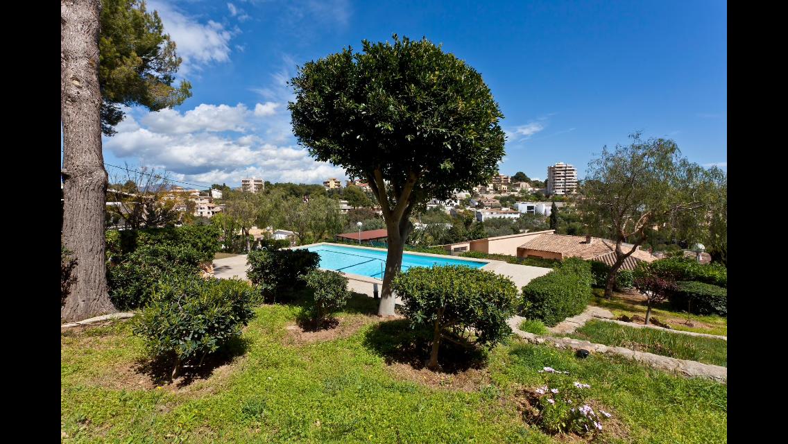 Saridakis - 2 bedroom apartment in Palma - Tree