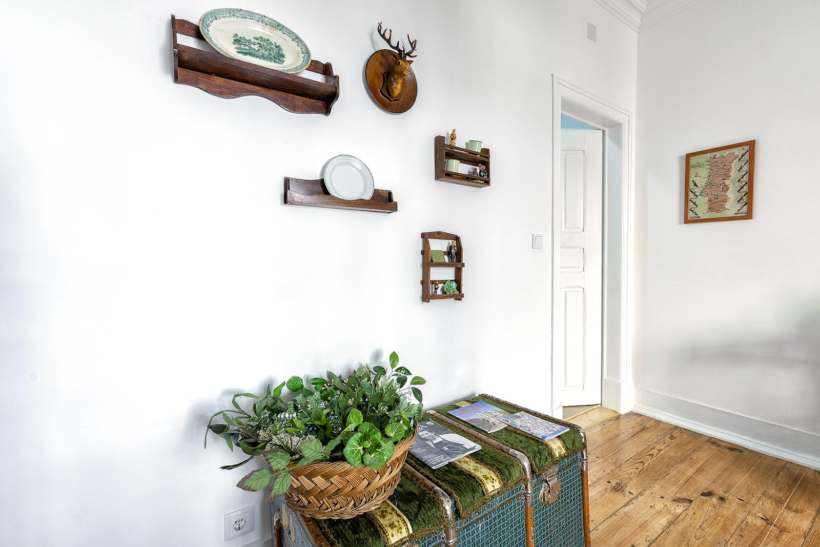 Bombarda - Shared 5 bedroom flat in Lisbon - plants