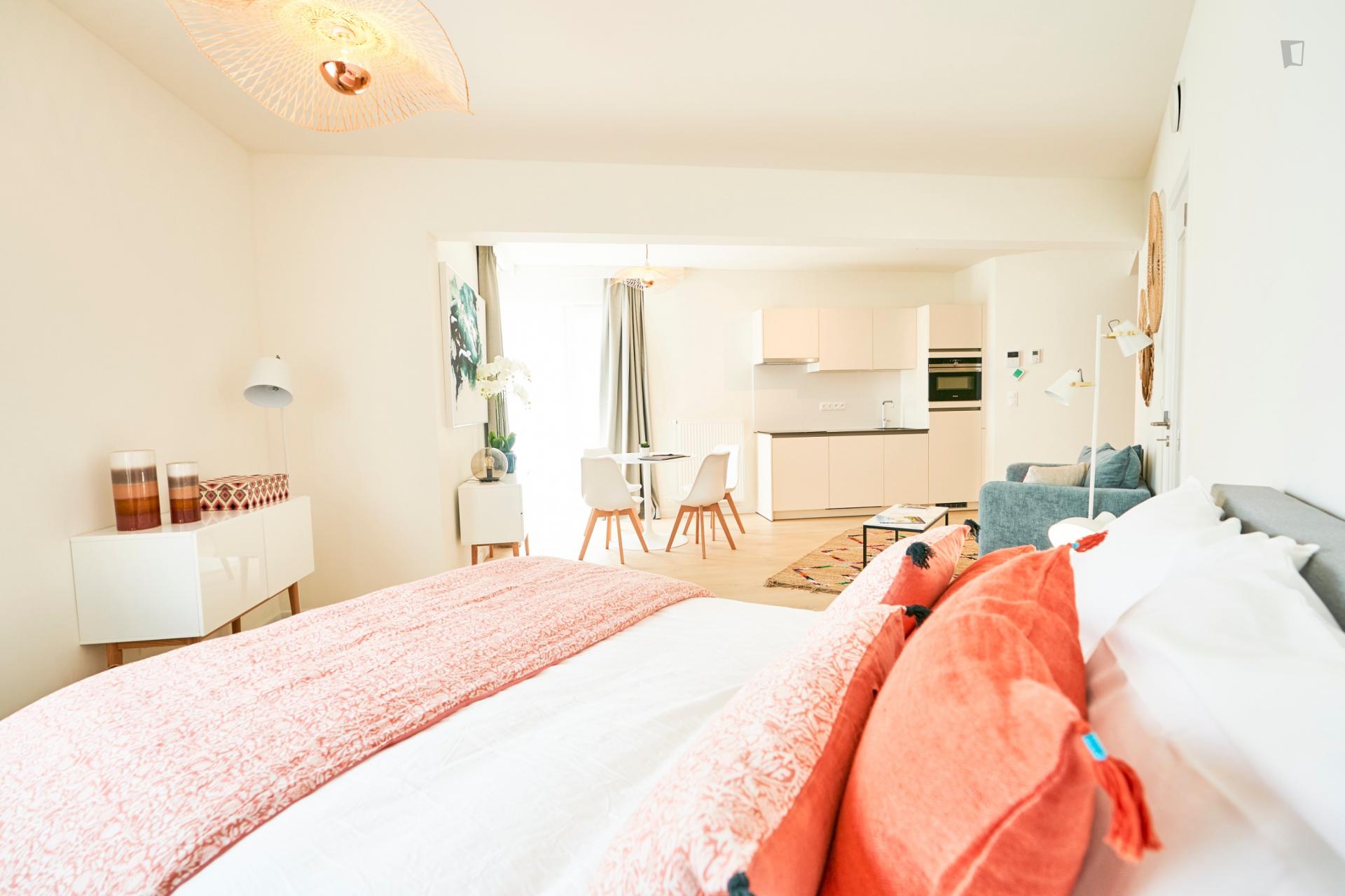 Diamant - Studio in Brussels region - Pillows