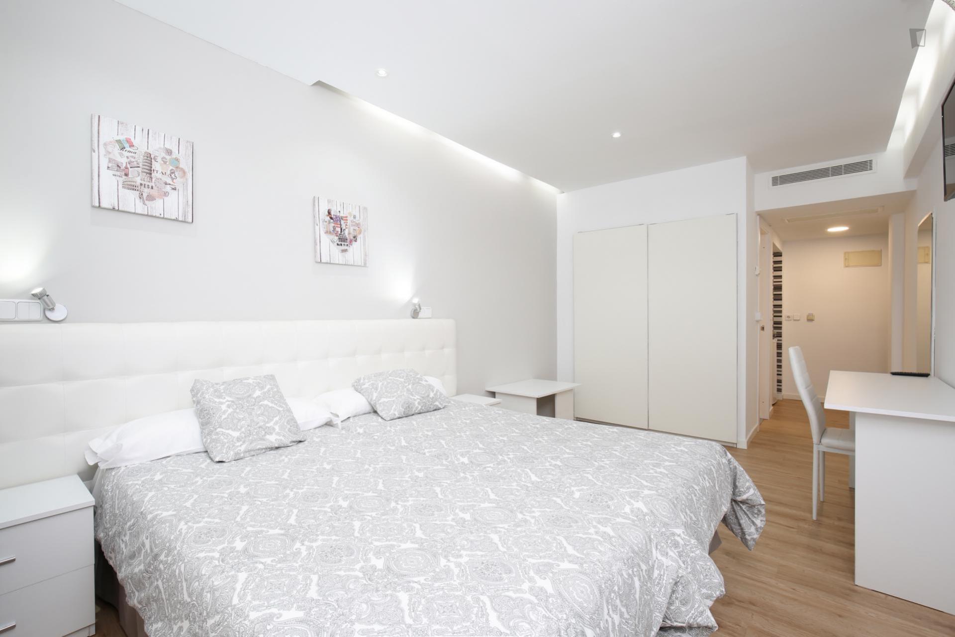 Leon - One bedroom flat in Madrid center - Pillow