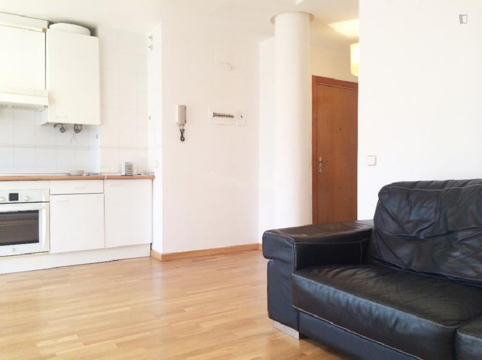 Peñascales - Furnished studio in Madrid - Living room