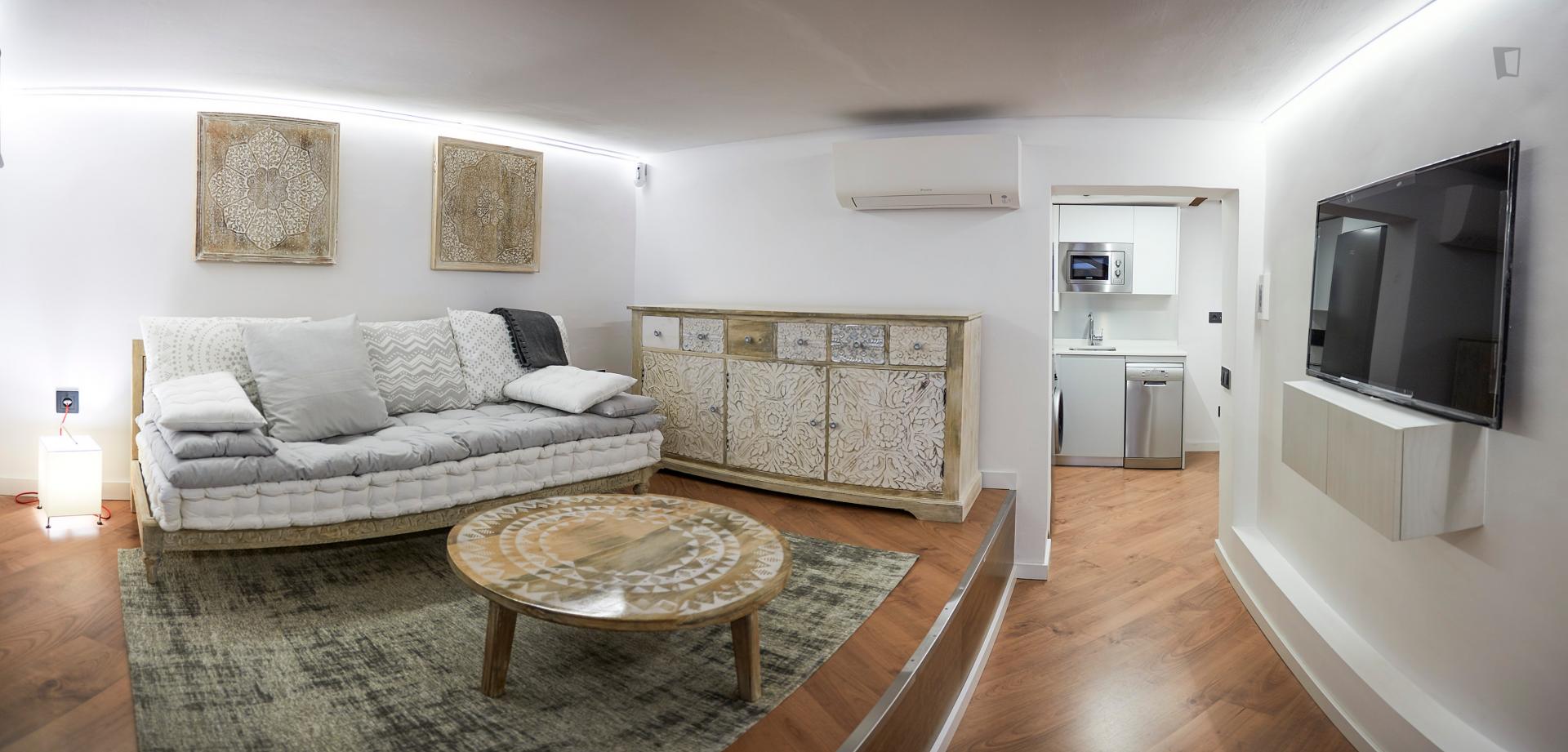 Torrecilla - One bedroom flat in Madrid - Sofa