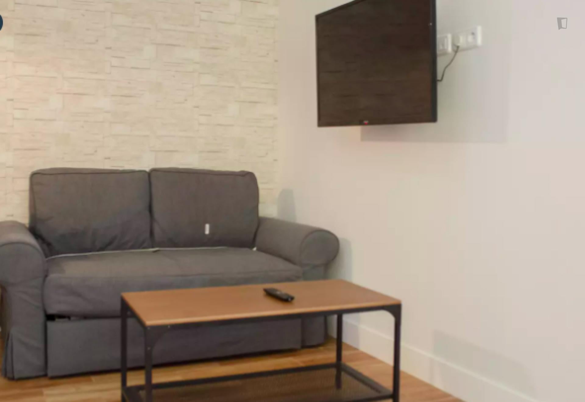 Delicias - Apartment in Madrid Oldtown - Sofa