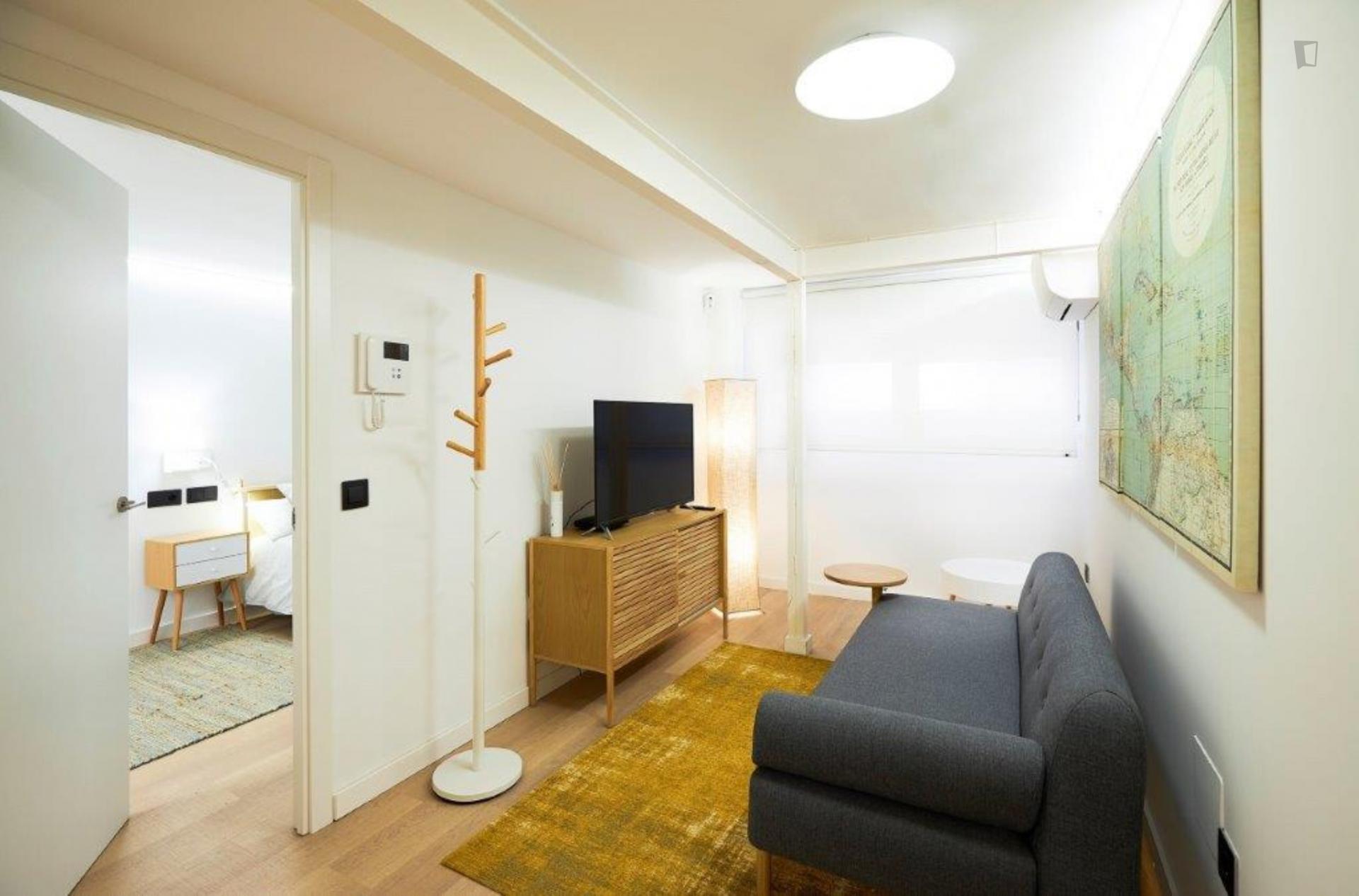 Arteaga - Cosy apartment in Madrid - TV