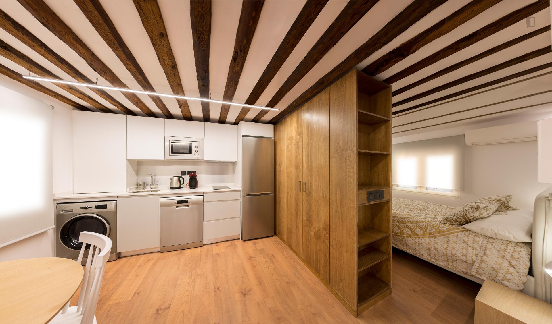 Torrecilla 2 - One bedroom flat in Madrid - Space