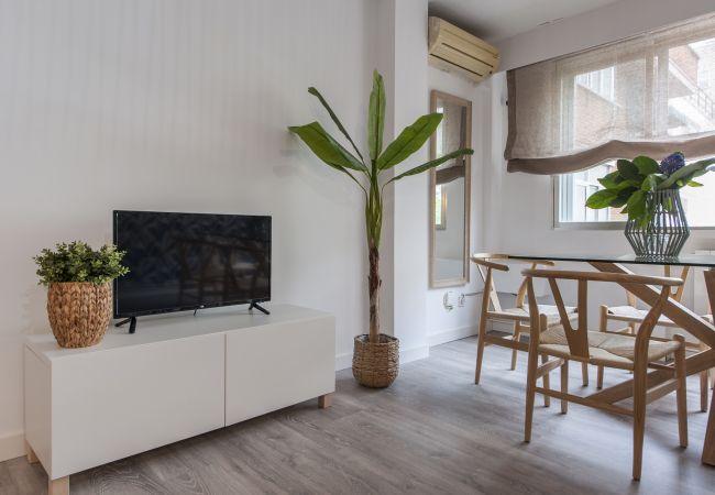 Padre Jesús - Exclusive apartment in Madrid - TV