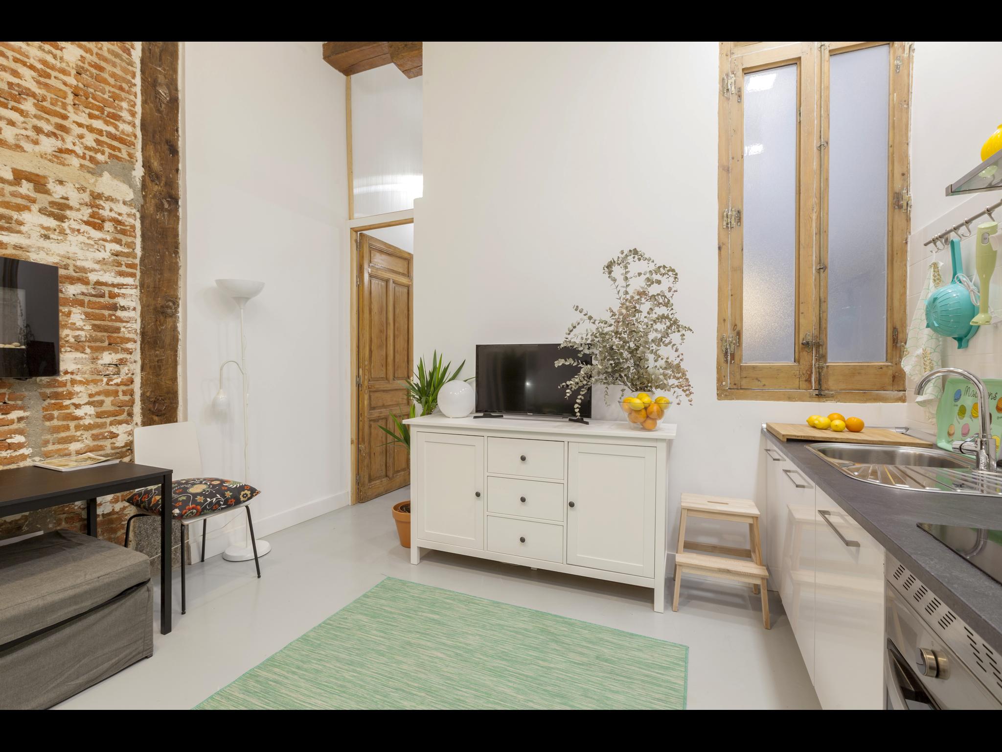 Ave María - Furnished house in Madrid - TV