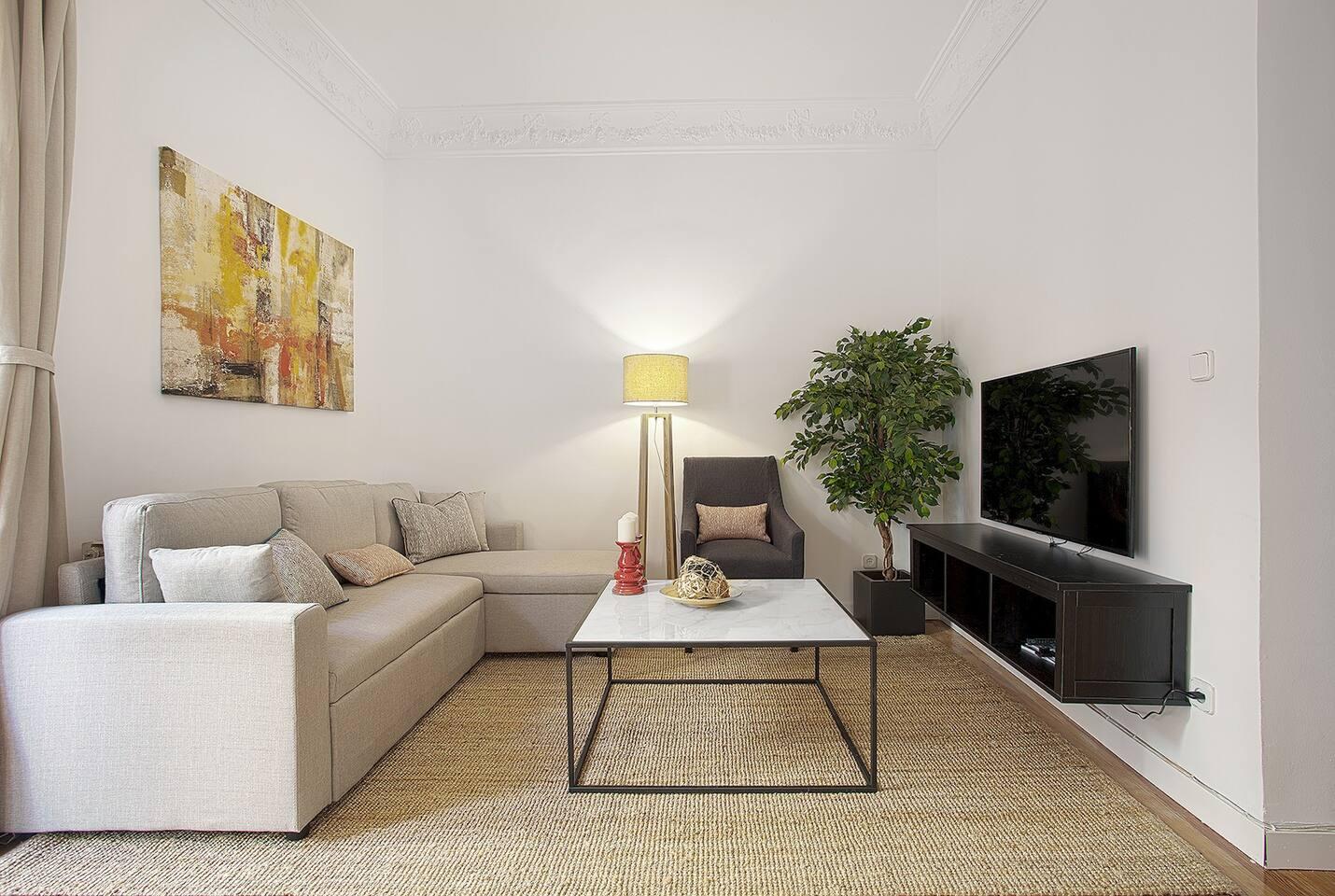 Rafael - 2 bedroom luxury flat in Madrid - TV