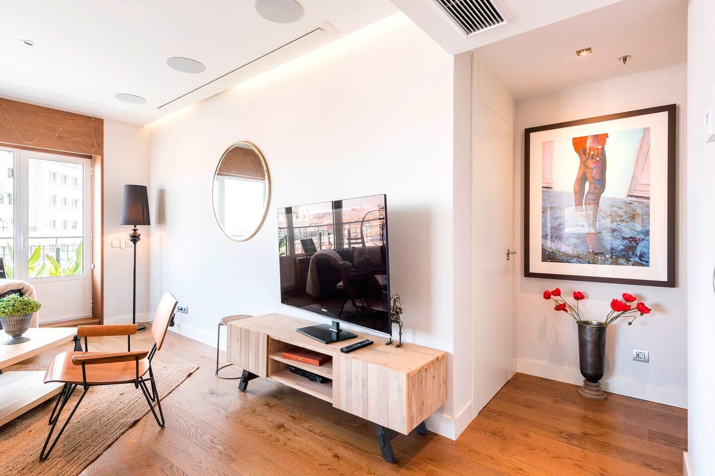 Plaza - Luxurious flat in Madrid - TV