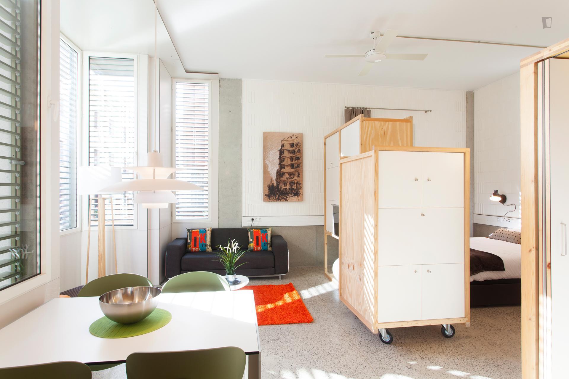 Taxdirt - Spacious studio in Barcelona - Living room