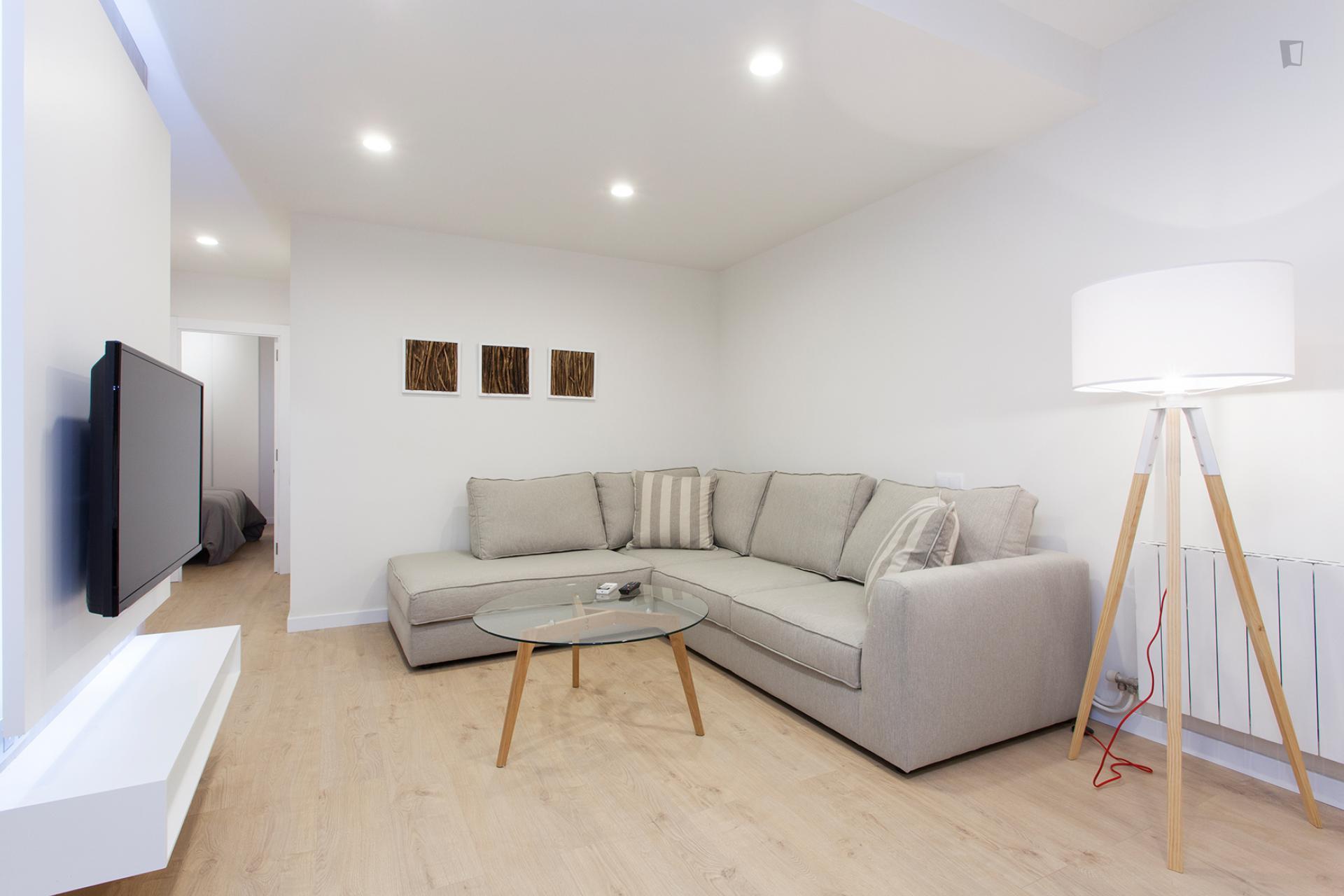 Spacious and modern flat in Barcelona - Cozy sofa