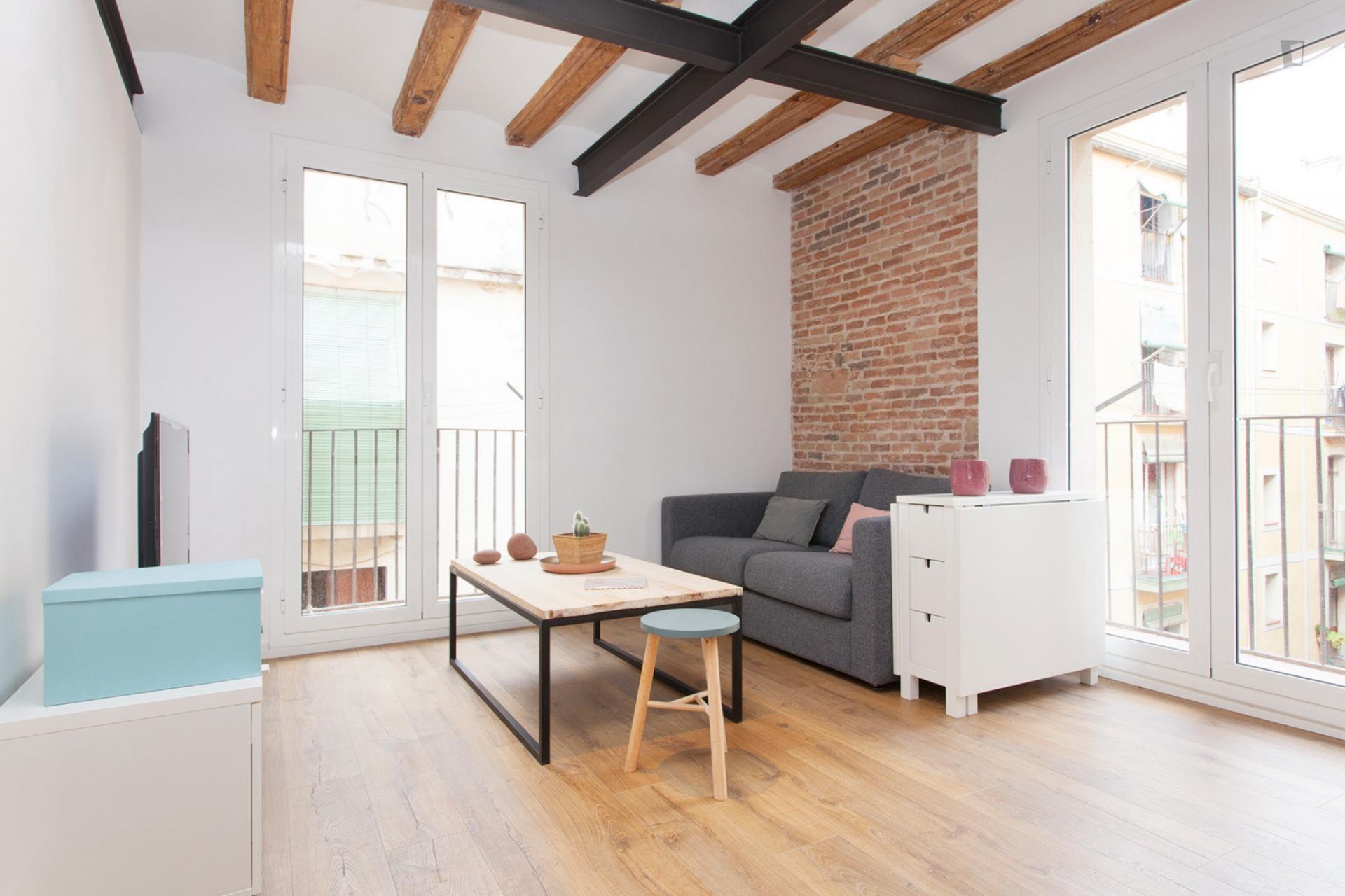 Carretes - Lovely furnished apartment in Barcelona - Living room