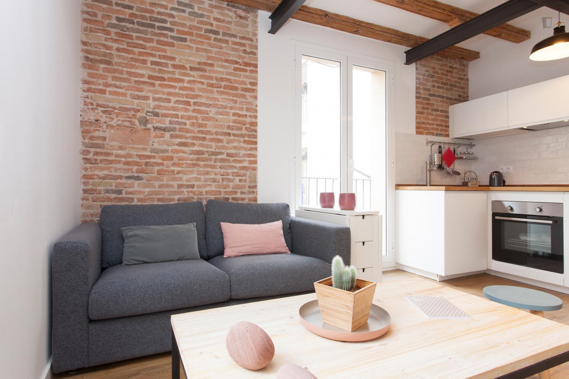 Carretes - Lovely furnished apartment in Barcelona - Living room