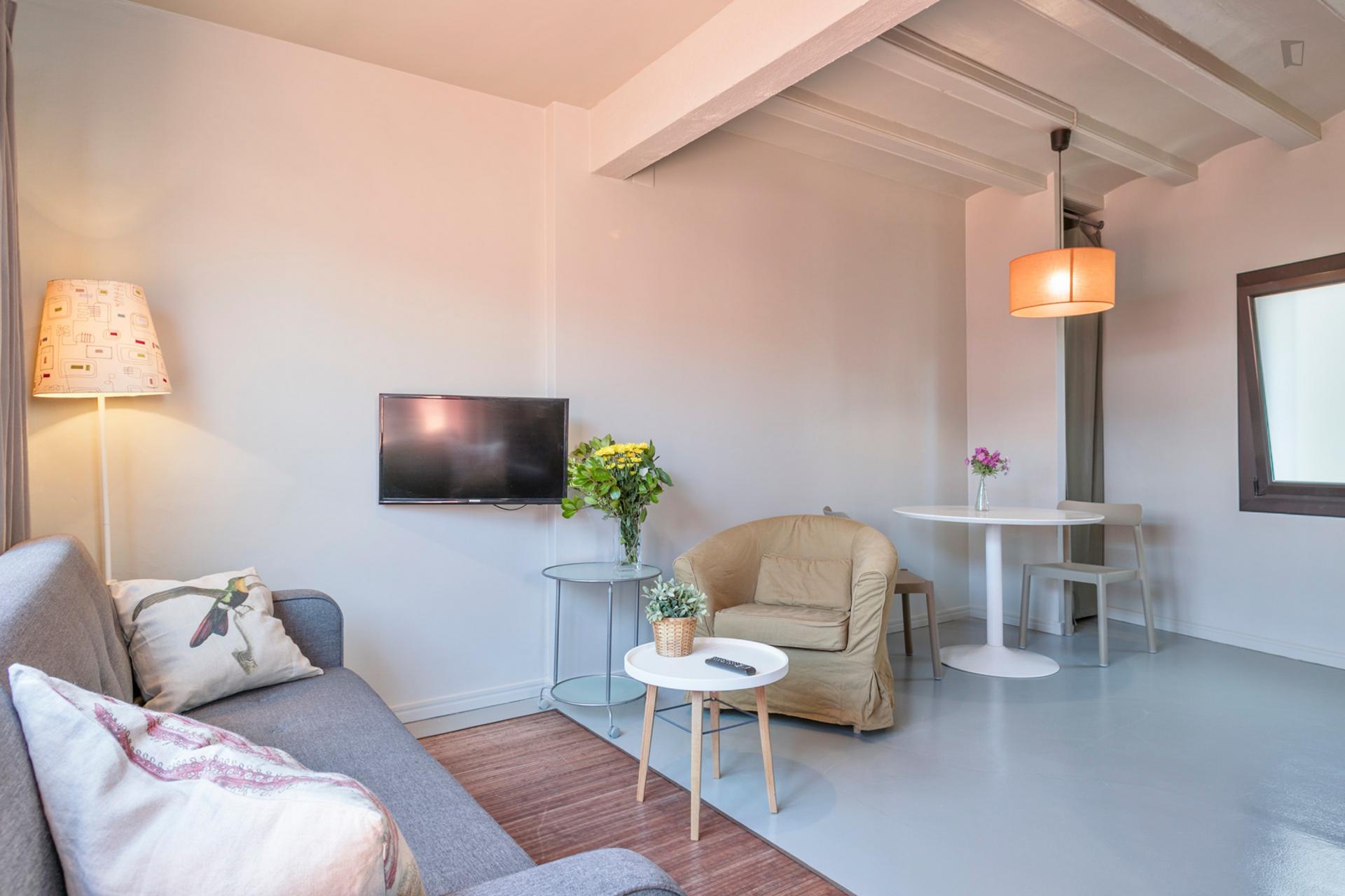 Reial 2 - Beautiful apartment in Barcelona - Living room