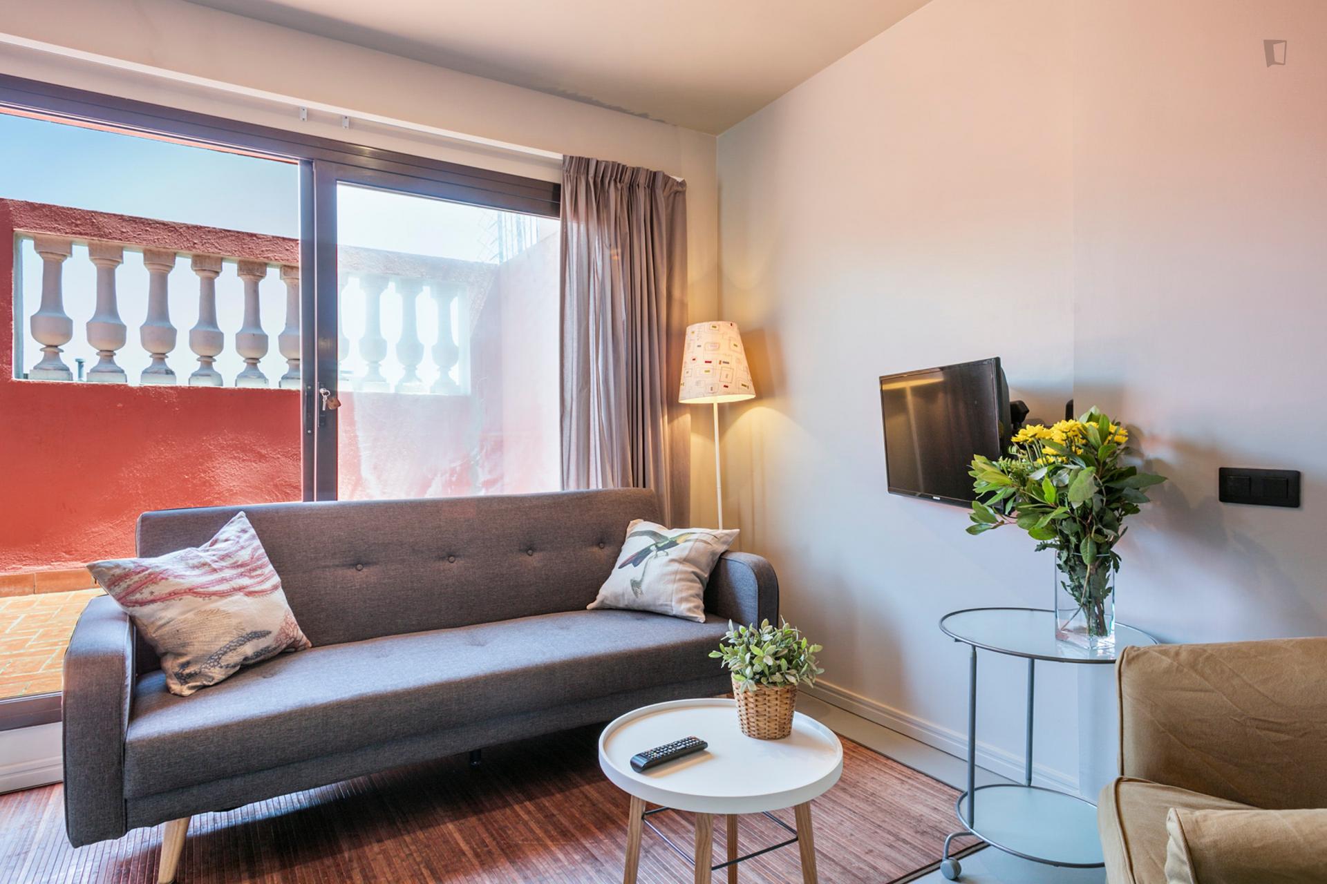 Reial 2 - Beautiful apartment in Barcelona - Living room