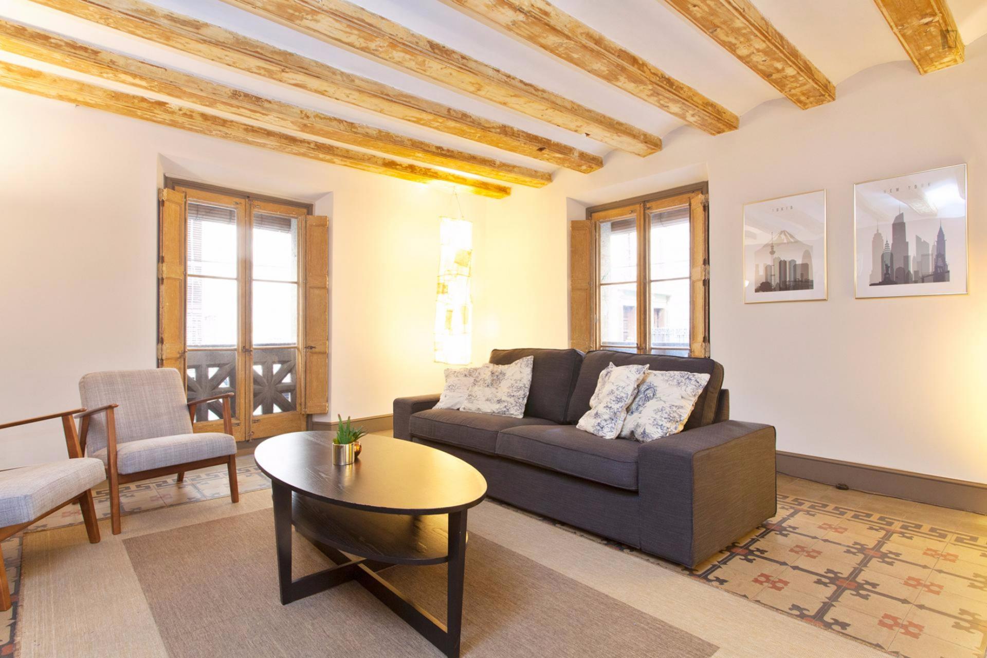 Palau - Furnished apartment for rent in Barcelona - Living room