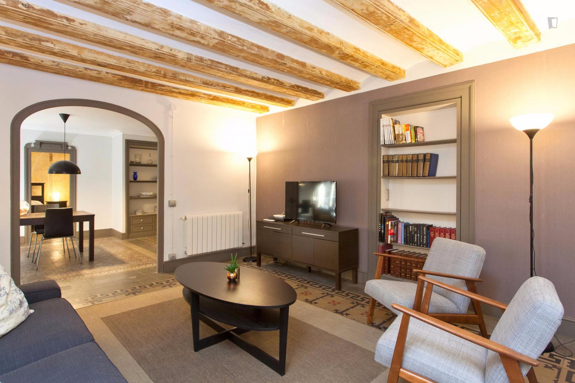 Palau - Furnished apartment for rent in Barcelona - Living room