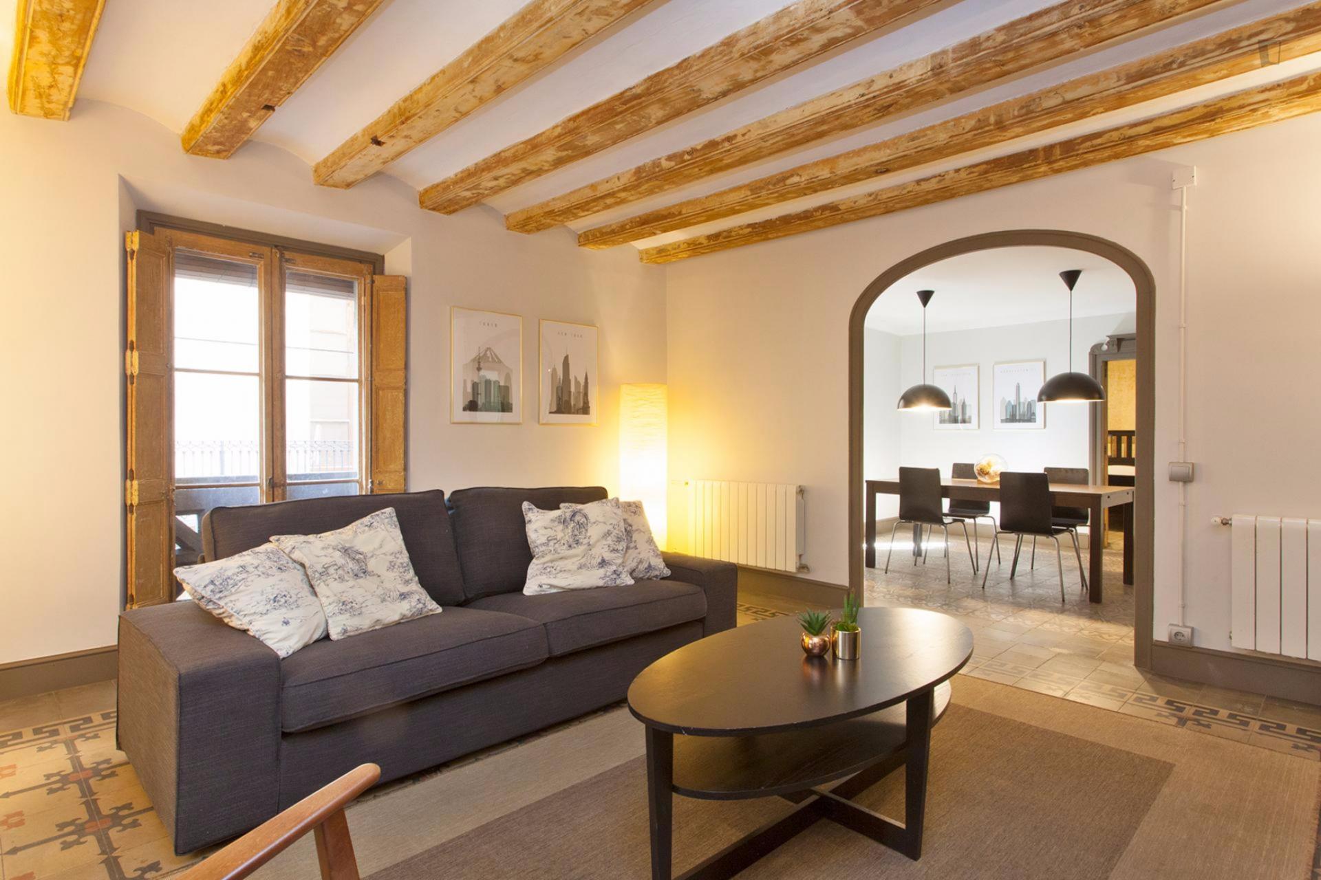 Palau - Furnished apartment for rent in Barcelona - Living room