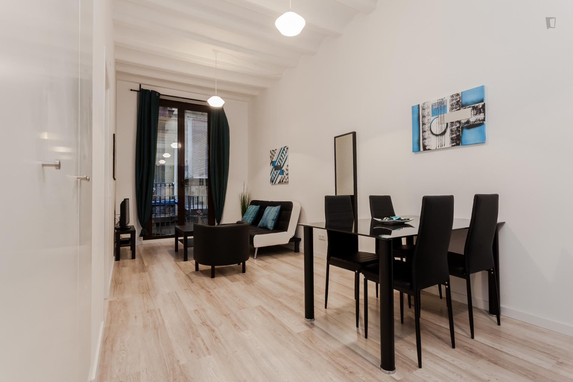 Caterina - 1 bedroom flat Barcelona centre - Living room