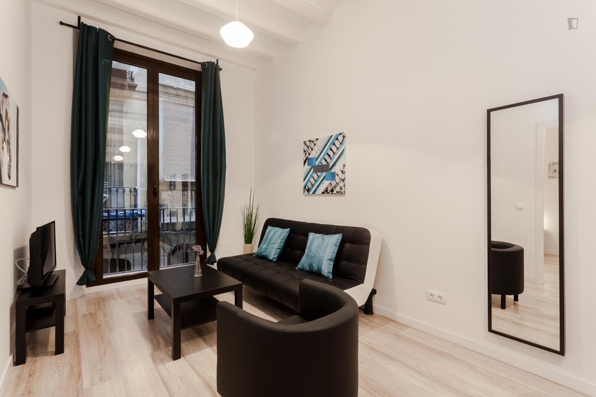 Caterina - 1 bedroom flat Barcelona centre - Sofa