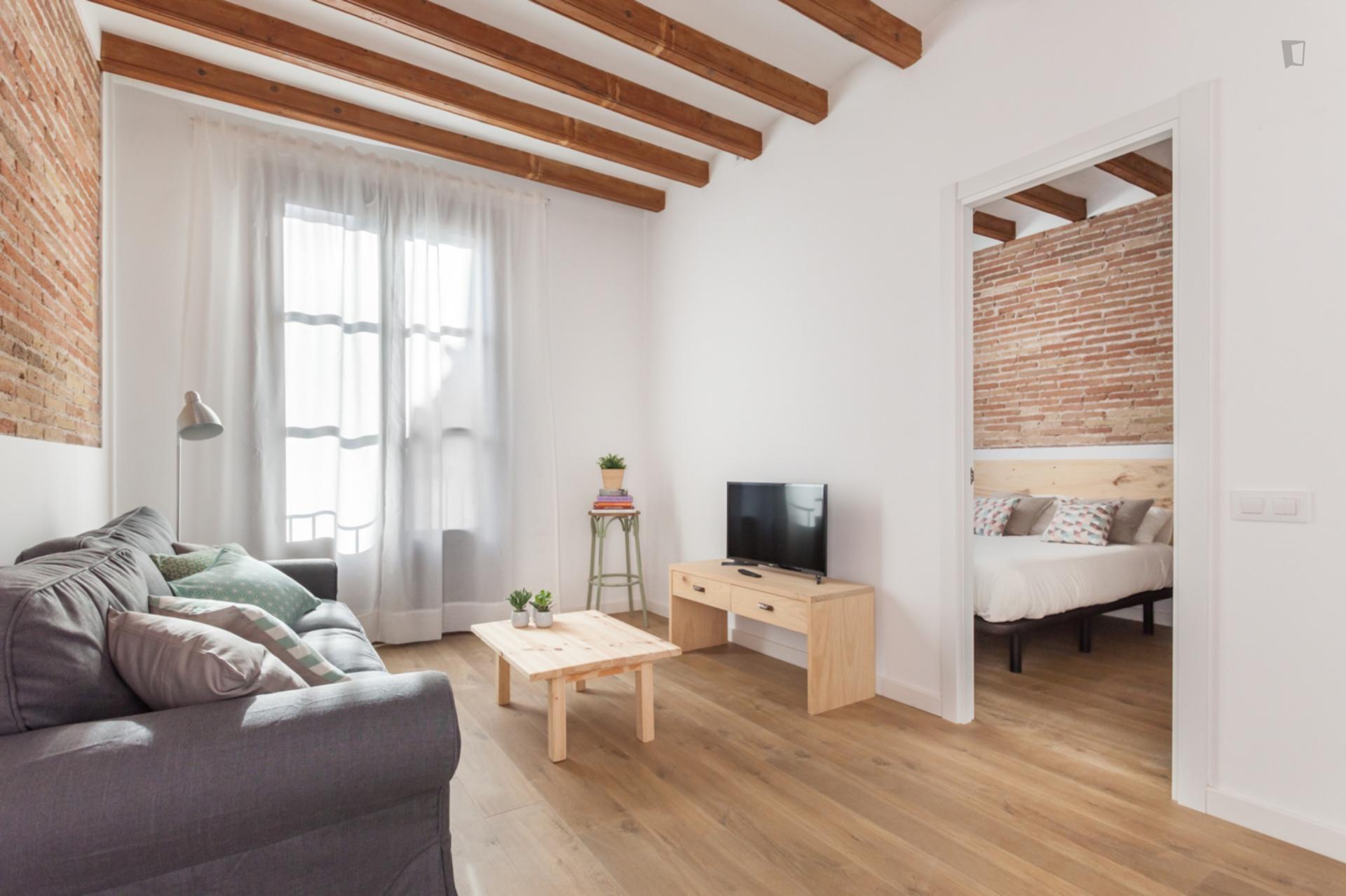 Paloma - Entry ready apartment in Barcelona for expats - Living room