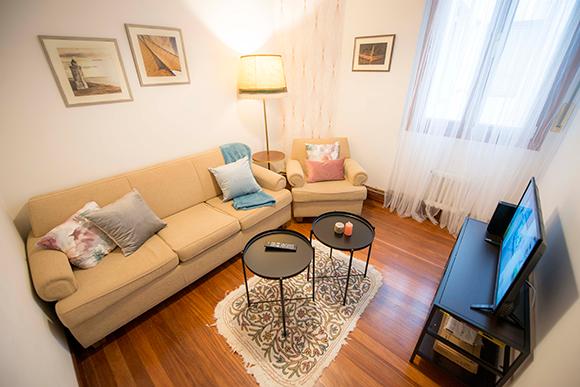 Aguirre - Private bedroom in Bilbao city - Living room