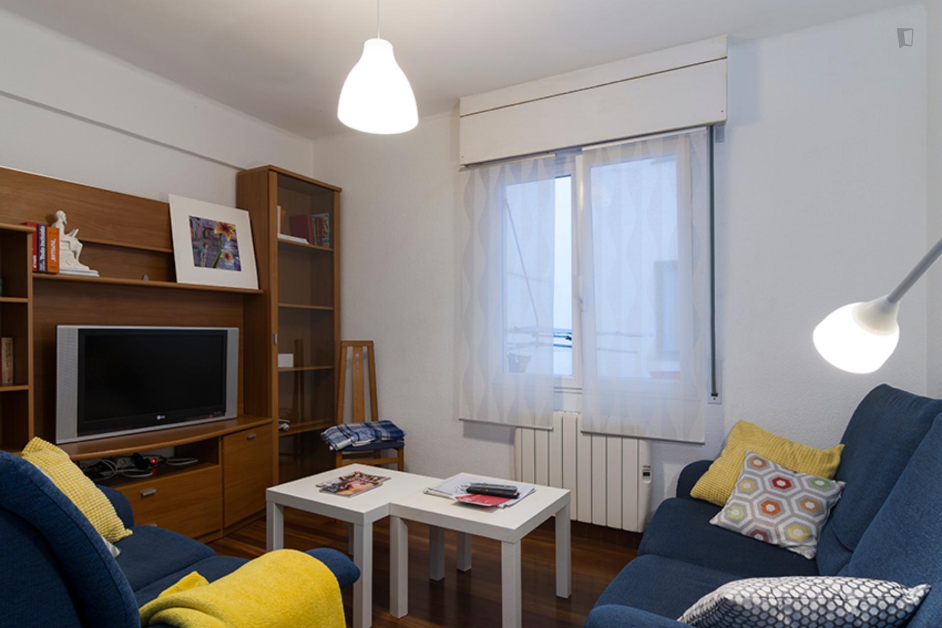 Santutxu - Nice single bedroom in Bilbao - Living room