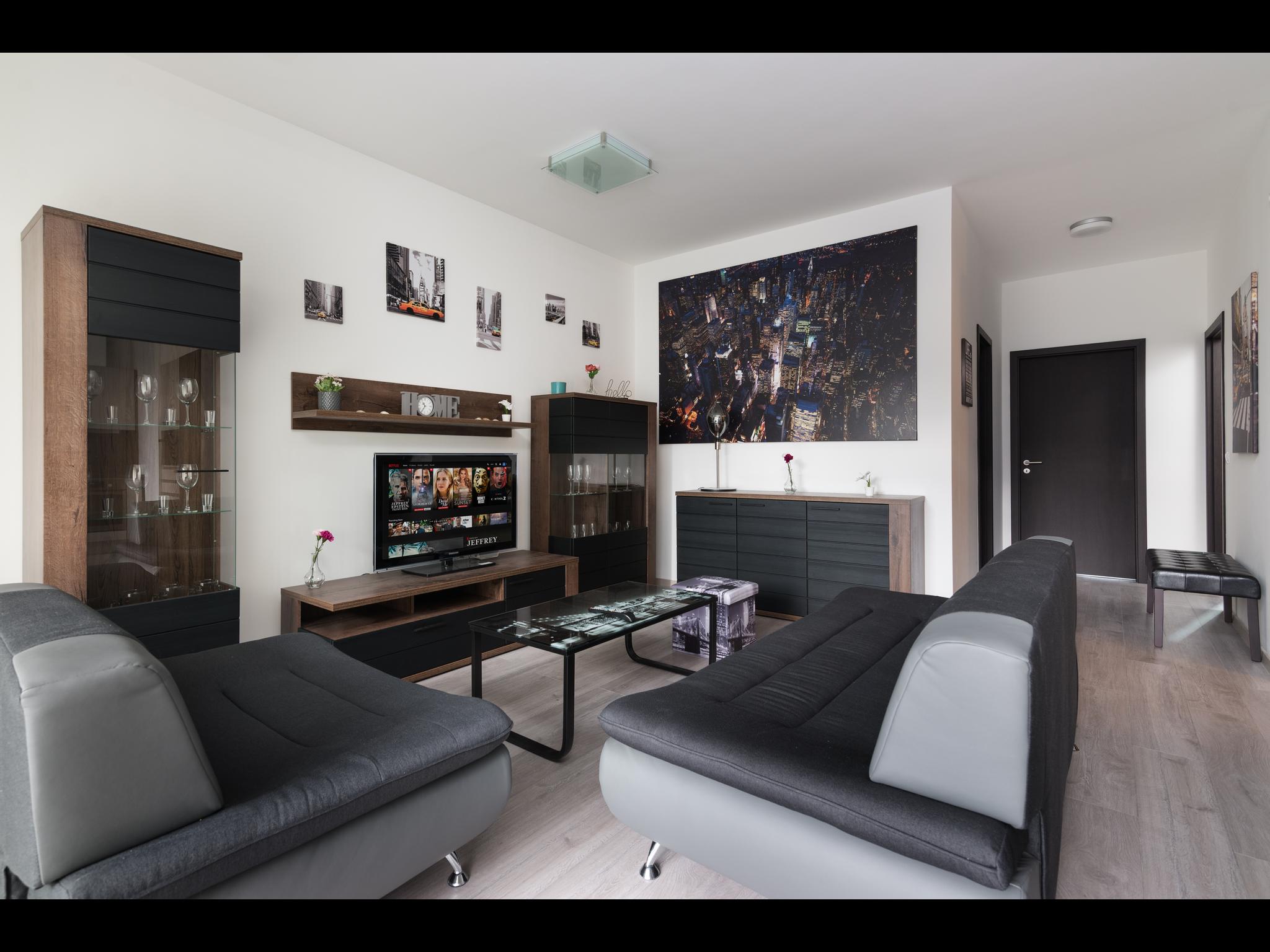 Biro - 2 bedroom apartment in Budapest - Tv