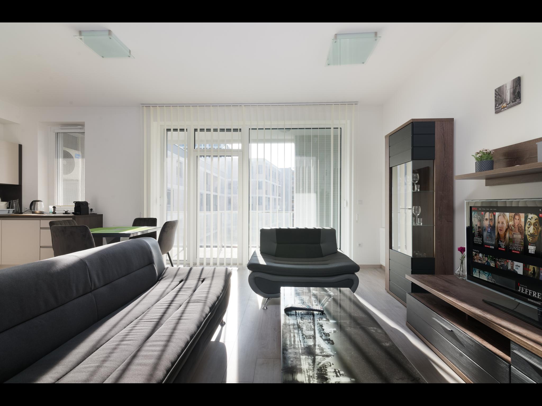 Biro - 2 bedroom apartment in Budapest - Window