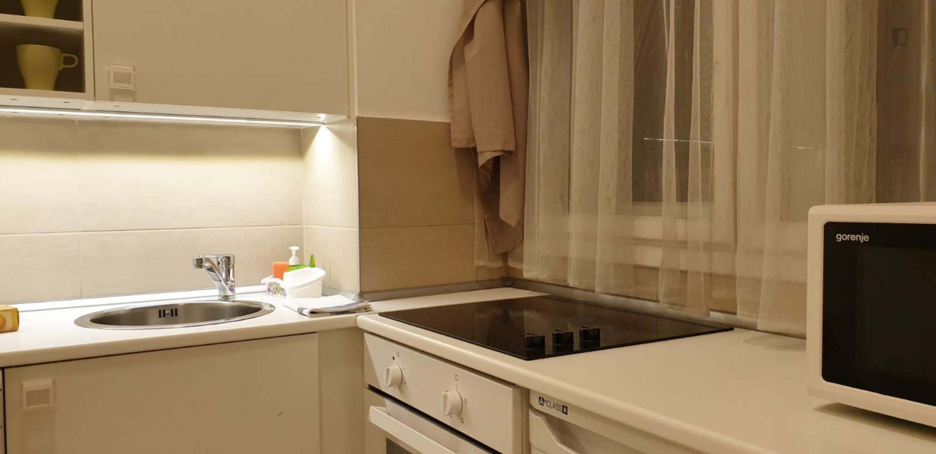 Vasi - Excellent apartment in Budapest - Kitchen