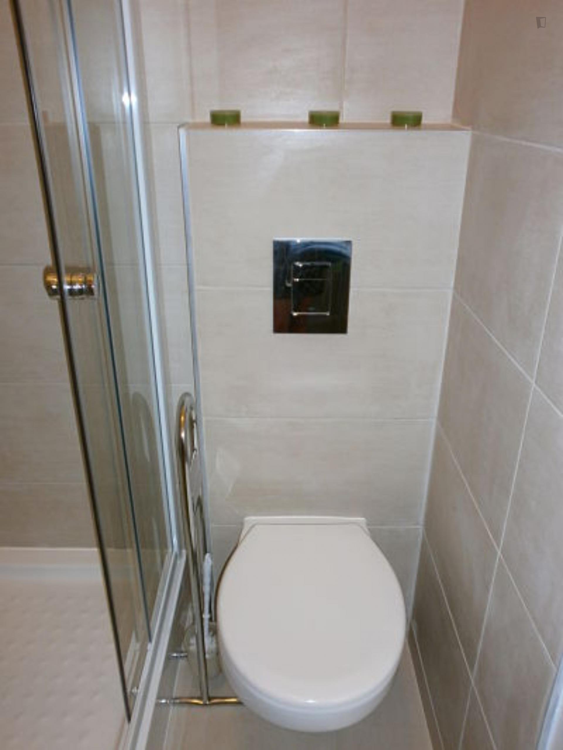 Vasi - Excellent apartment in Budapest - WC