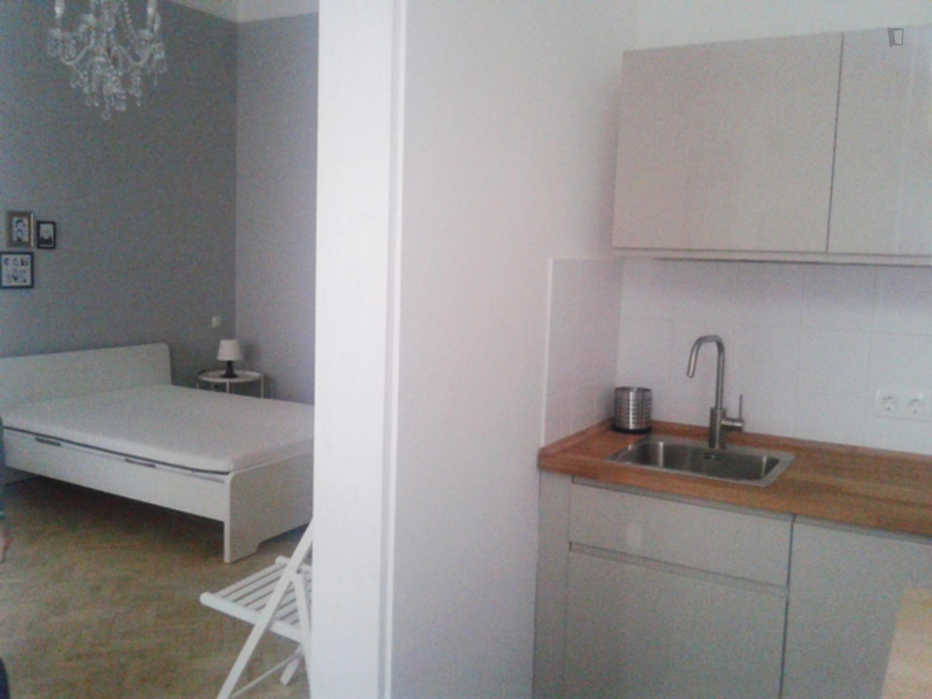 Lujza - One bedroom flat in Budapest - Corner