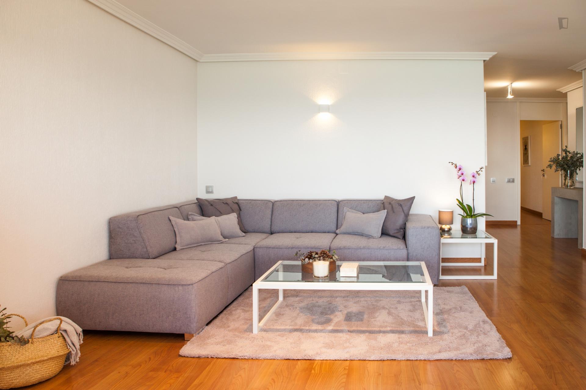 Postiguet - 3 Bedroom apartment in Alicante - Sofa