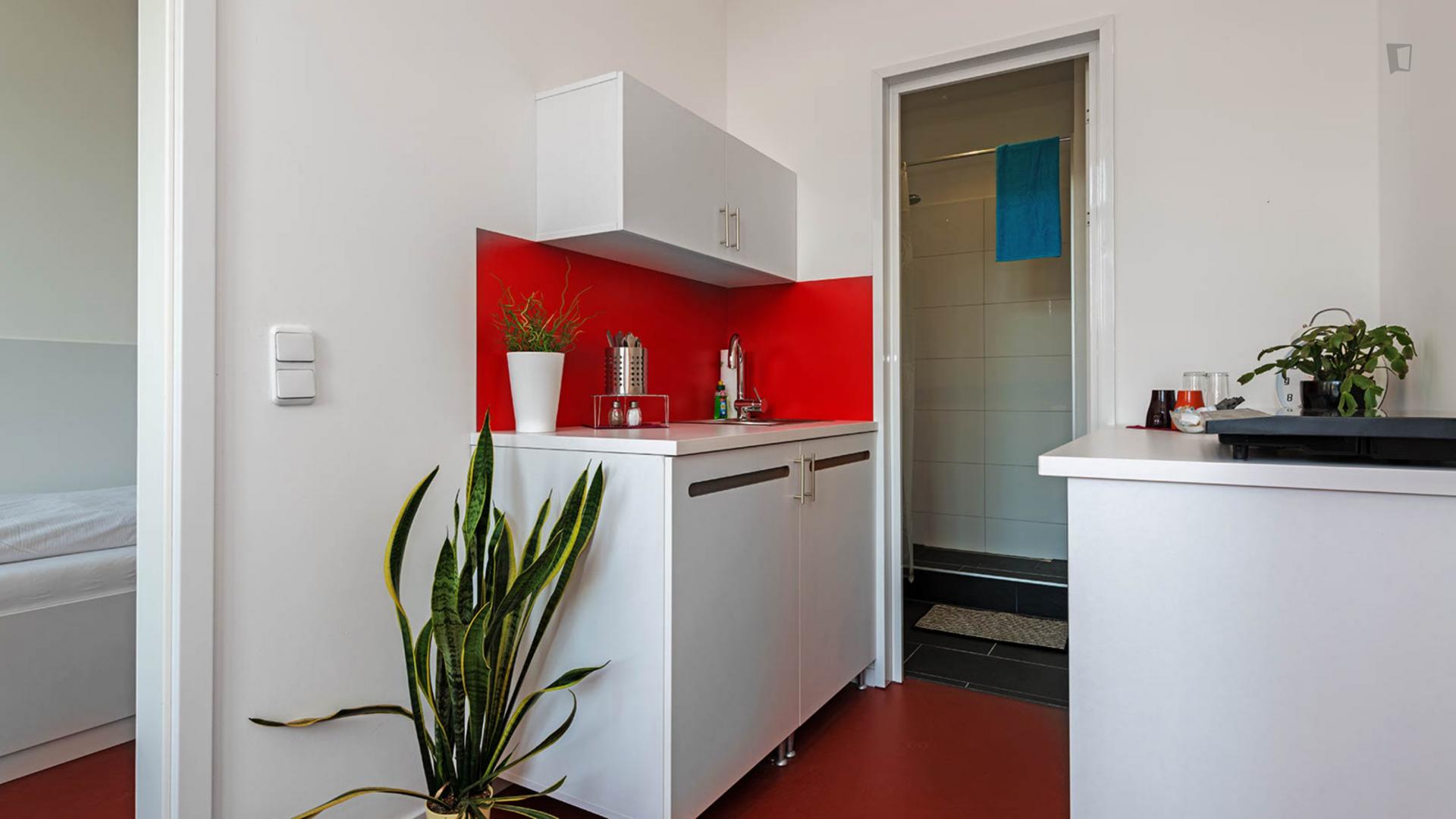 Cuvry - Entry ready studio in Berlin - Kitchen
