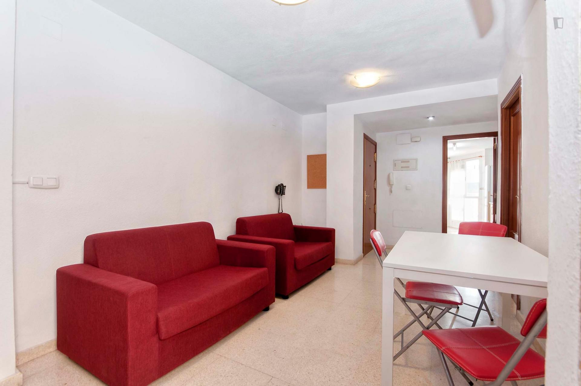 Bergez - Welcoming single bedroom Alicante - Sofa